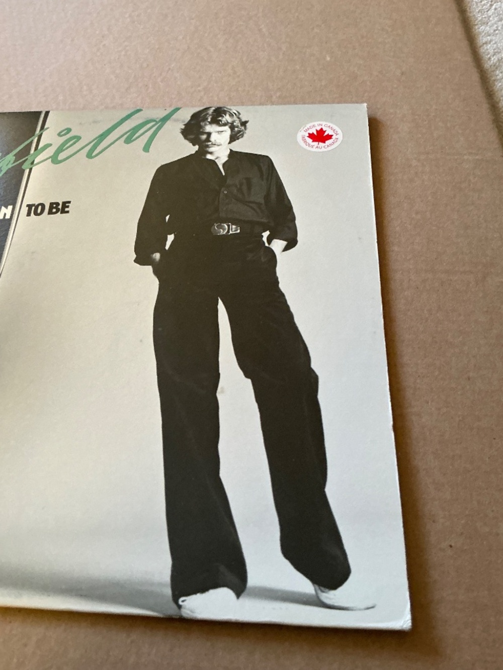 Garfield Reason To Be Vinyl Polydor 1979 - Picture 11 of 13